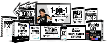1 on 1 Dropshipping Mentorship